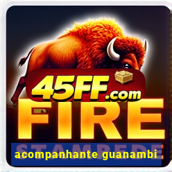 acompanhante guanambi
